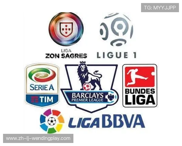 德甲联赛外援泛滥球队及影响球队实力的探讨