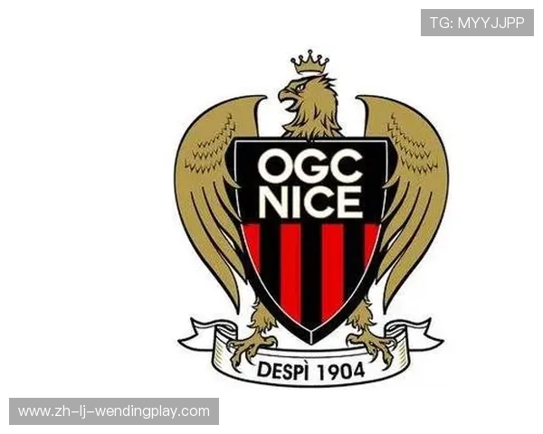 法国足球甲级联赛与下属级别球队体系说明