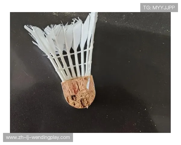 羽毛球击球 球头位置