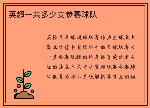 英超一共多少支参赛球队