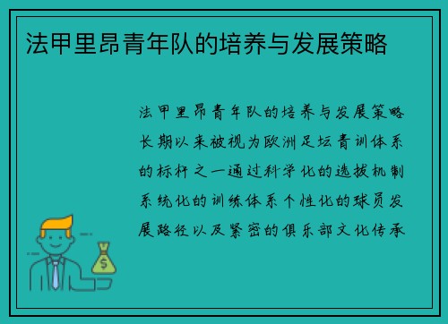 法甲里昂青年队的培养与发展策略